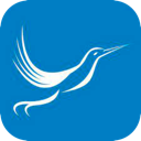 Fengniao Cracked VPN, 小巧迅捷的鸟类破解版翻墙加速器