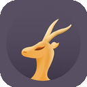 Lingyang Cracked VPN, 羚羊破解版翻墙加速器