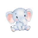 Daxiang Cracked VPN, 犀牛破解版翻墙加速器